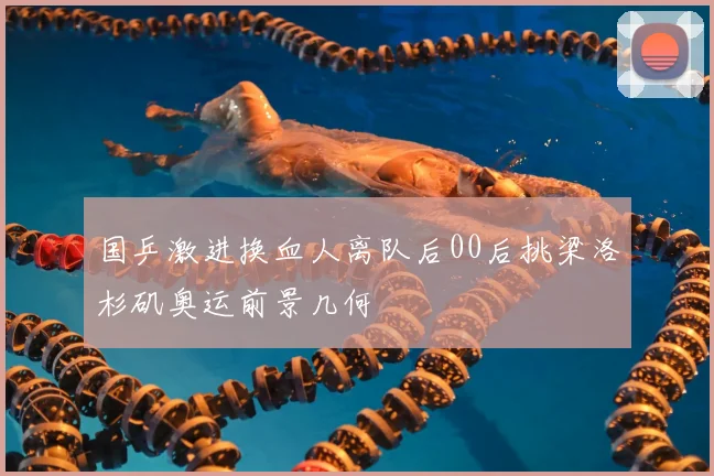 国乒激进换血人离队后00后挑梁洛杉矶奥运前景几何