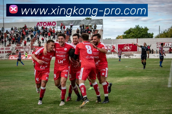 xingkong(XINGKONG)官方授权体育信息服务中心平台生态图