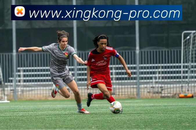 xingkong(XINGKONG)官方授权体育信息服务中心服务体系